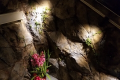 20190126_190130_0032