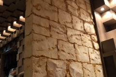 S__10846288